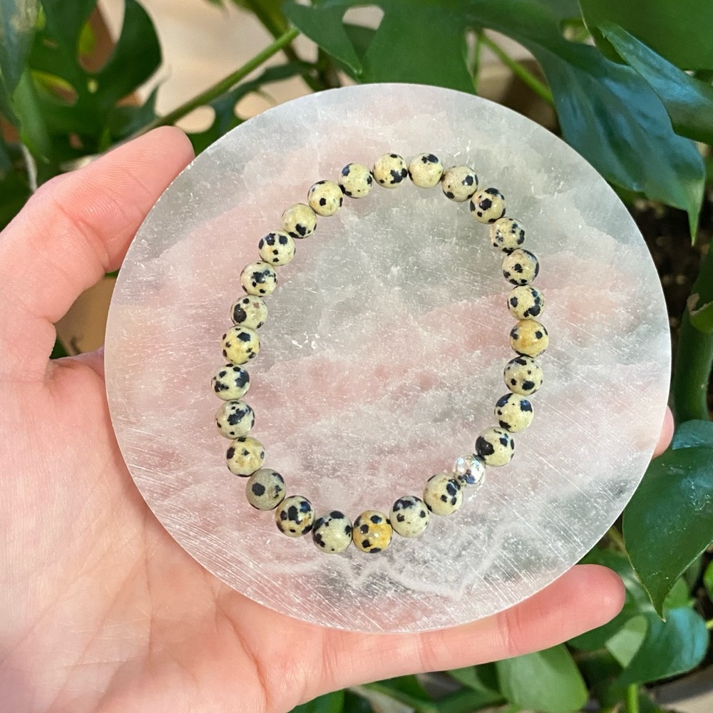 Dalmatian Jasper Healing Bracelet
